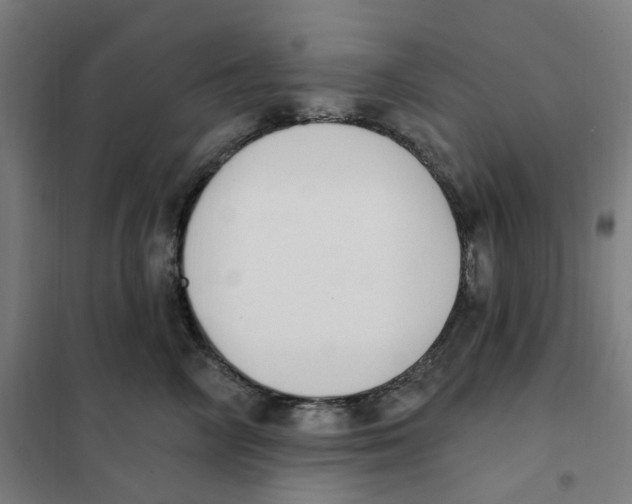 X0000101230714200807251134