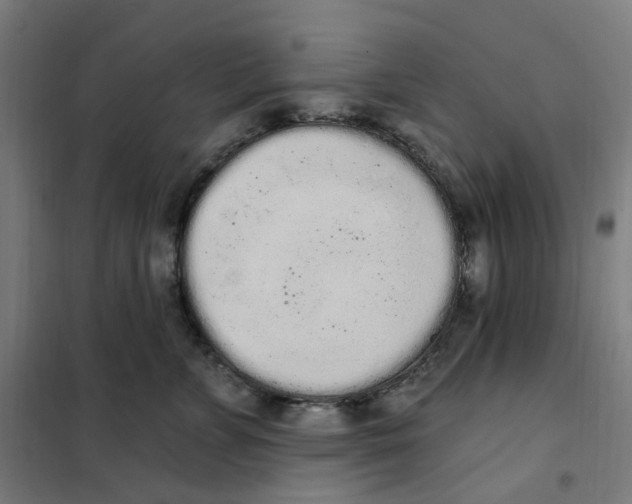 X0000101230715200807251134