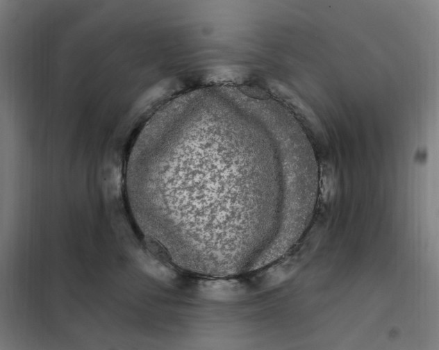 X0000101230716200807251134