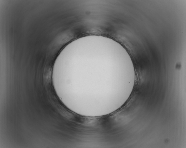X0000101230717200807251134