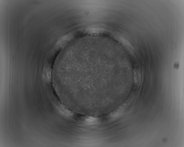 X0000101230718200807251134