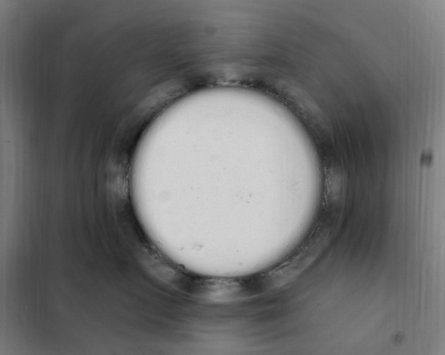 X0000101230719200807251134