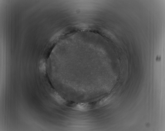 X0000101230720200807251134