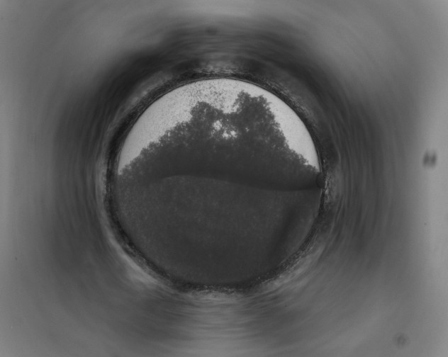 X0000101230722200807251133