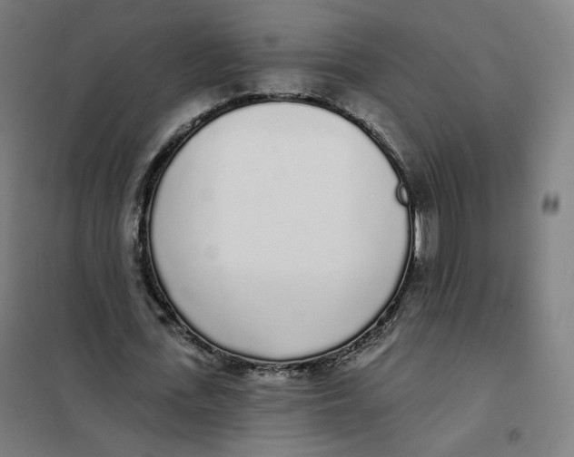 X0000101230723200807251133