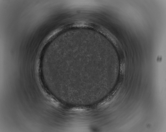 X0000101230724200807251133