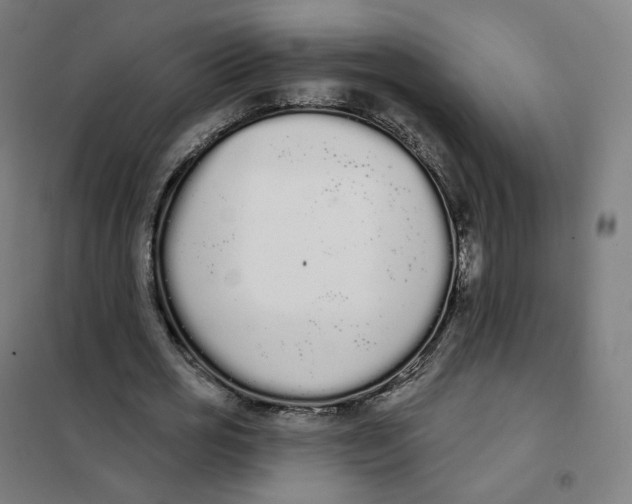 X0000101230725200807251133