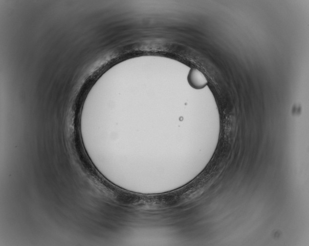 X0000101230727200807251134