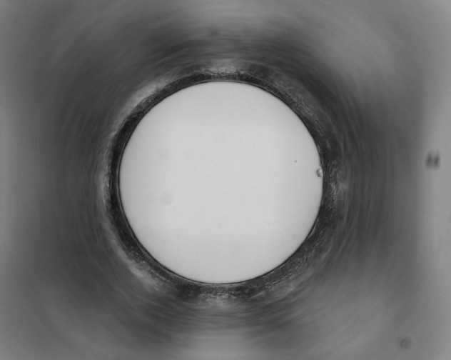 X0000101230728200807251134