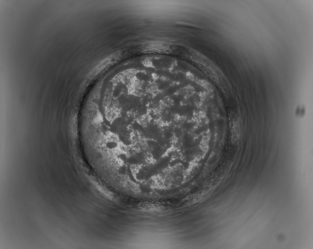 X0000101230729200807251134