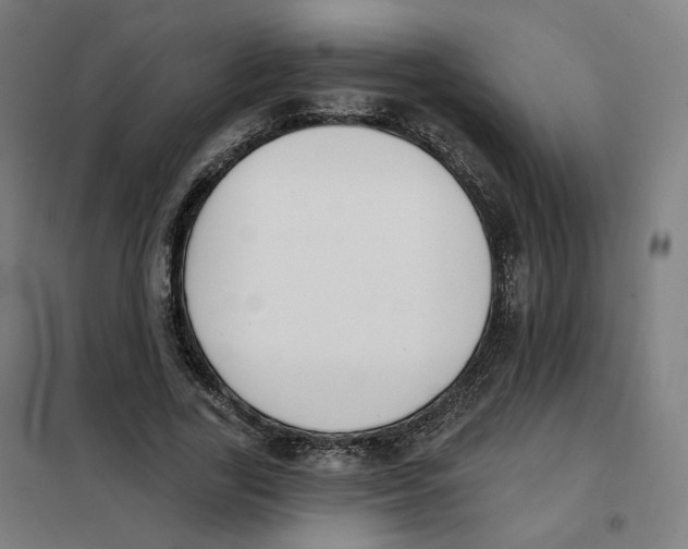 X0000101230731200807251134