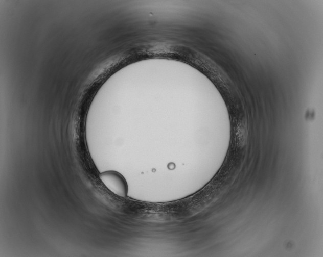 X0000101230732200807251134
