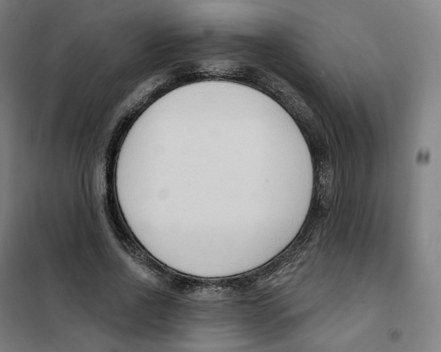 X0000101230734200807251134