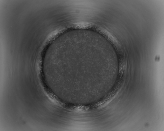 X0000101230736200807251134
