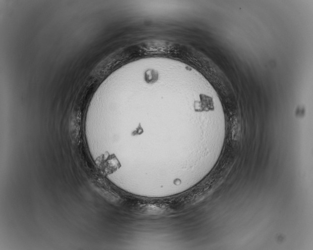 X0000101230737200807251134