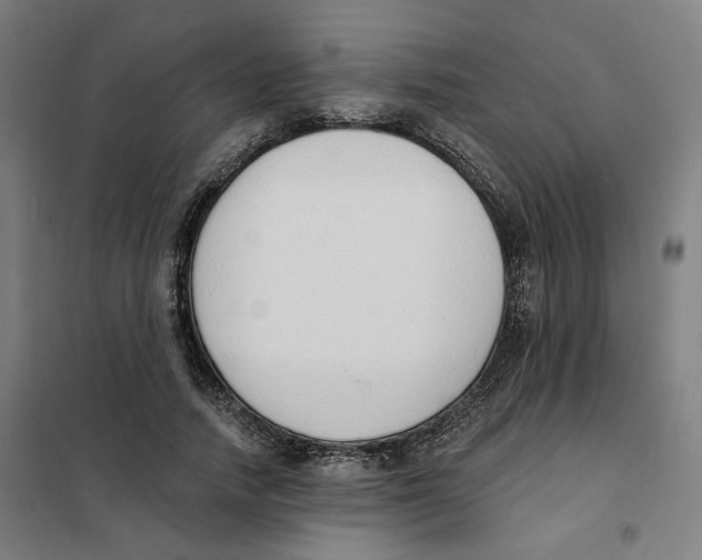 X0000101230738200807251134