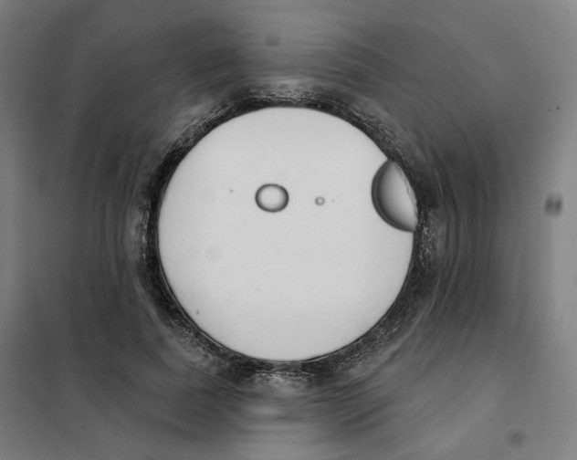X0000101230739200807251134