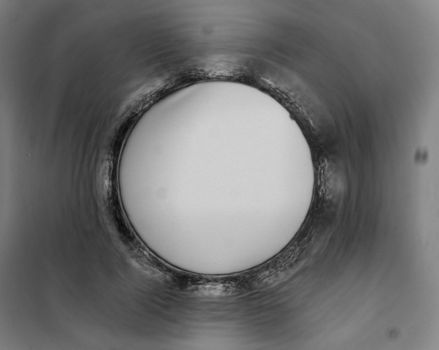 X0000101230740200807251134