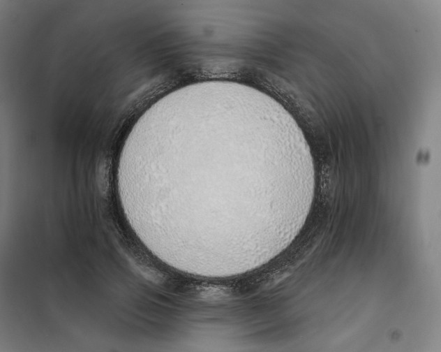 X0000101230741200807251134