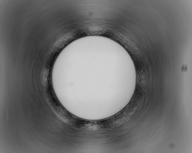 X0000101230742200807251134