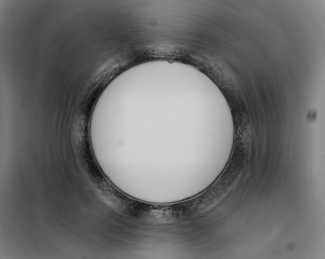 X0000101230744200807251134