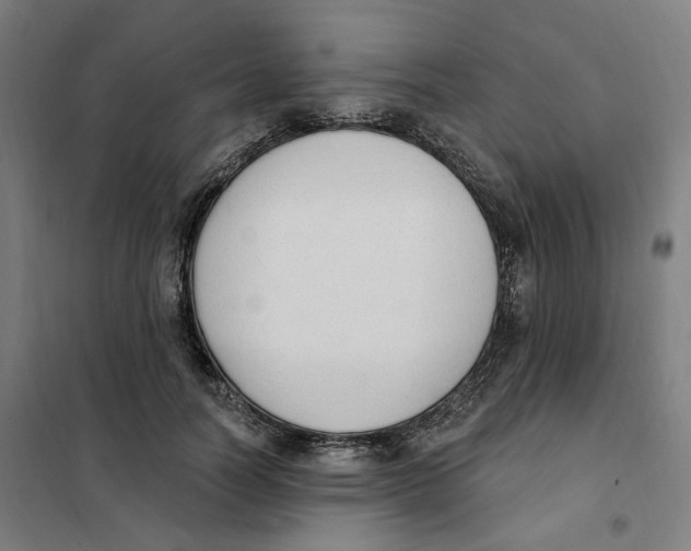 X0000101230746200807251134