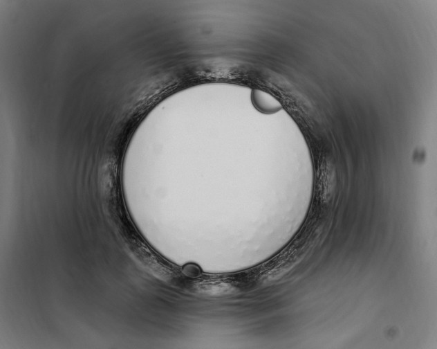 X0000101230747200807251134