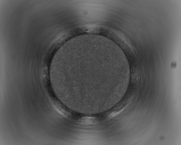 X0000101230748200807251134