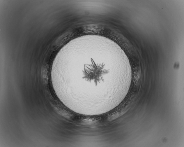 X0000101230749200807251134