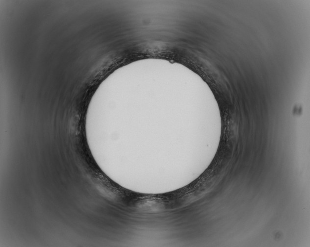 X0000101230750200807251134