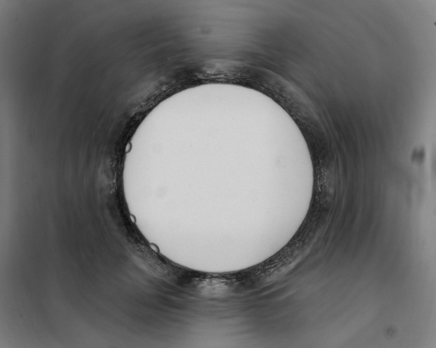 X0000101230751200807251134