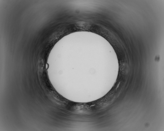 X0000101230752200807251134