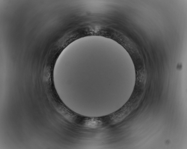 X0000101230754200807251134