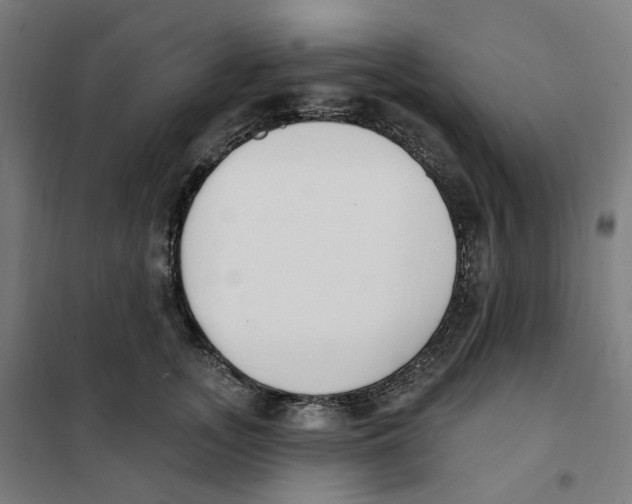 X0000101230755200807251134
