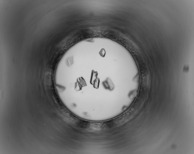 X0000101230757200807251134