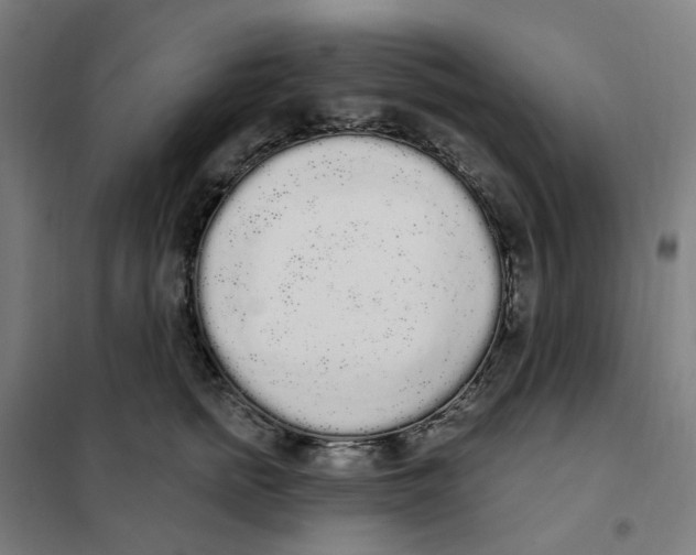 X0000101230758200807251134