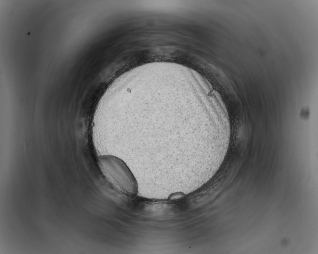 X0000101230759200807251134