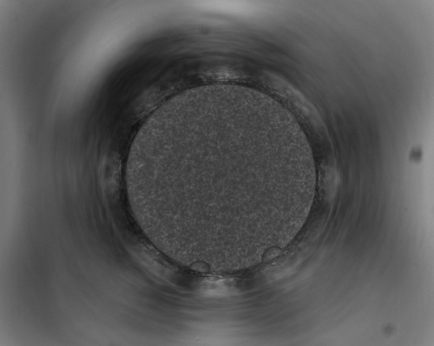 X0000101230760200807251134