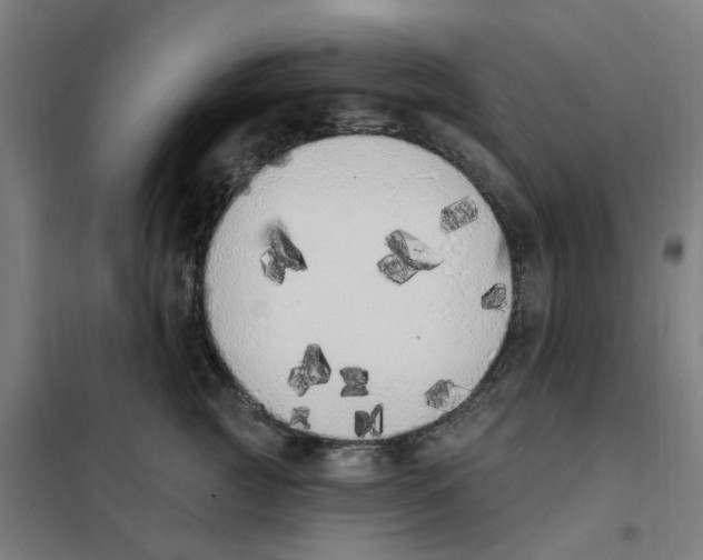 X0000101230761200807251134