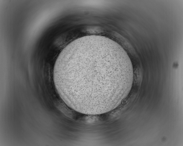 X0000101230762200807251134