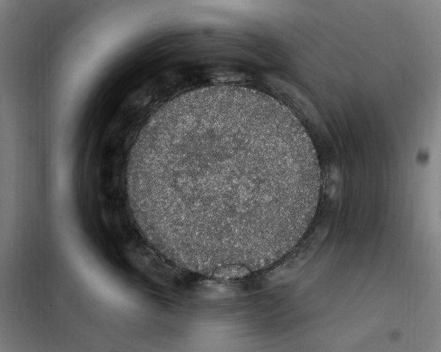 X0000101230763200807251134