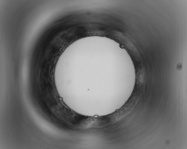 X0000101230764200807251134