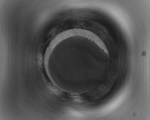 X0000101230767200807251134