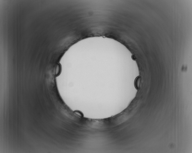 X0000101230768200807251134