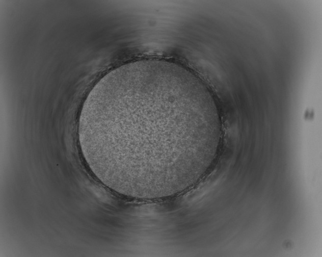 X0000101230769200807251133