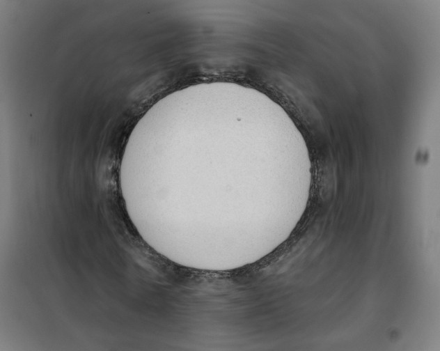 X0000101230770200807251133
