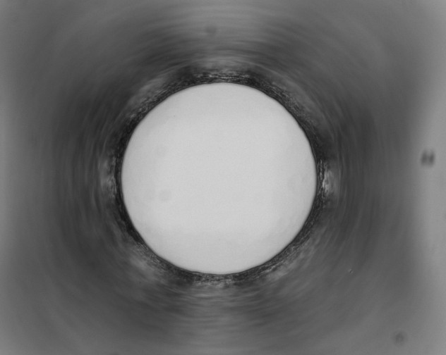 X0000101230771200807251133