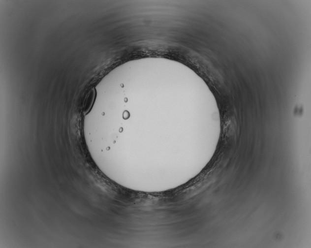 X0000101230772200807251133