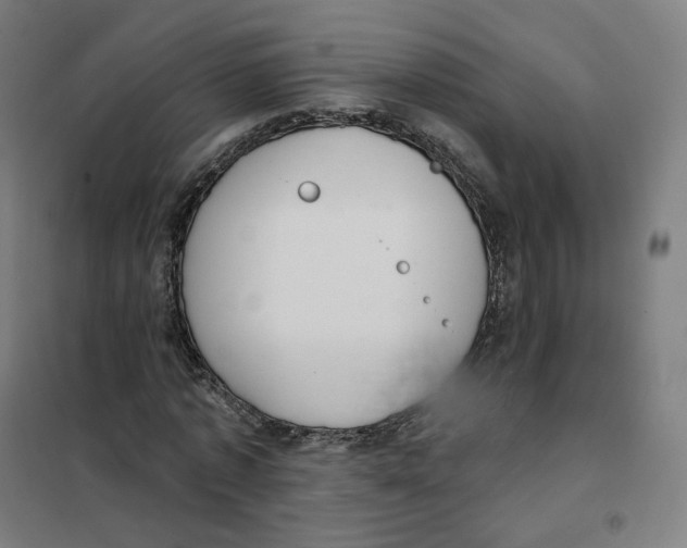 X0000101230773200807251133