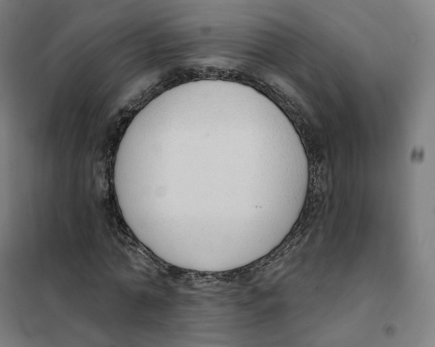 X0000101230774200807251133